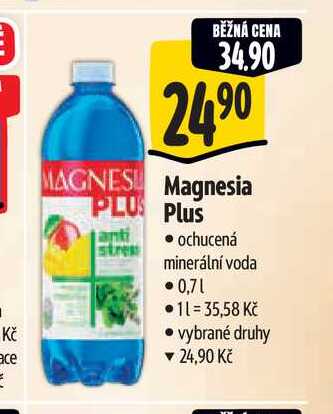  Magnesia PLUS 0,7 l