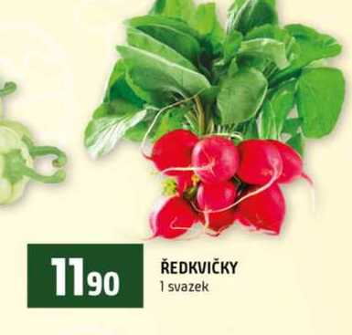 ŘEDKVIČKY 1 svazek