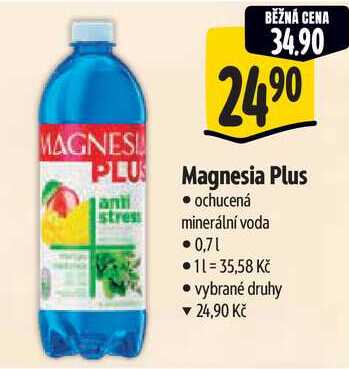 Magnesia Plus, 0,7 l
