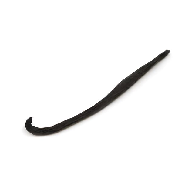 Titbit Vanilkový lusk čerstvý, 1ks