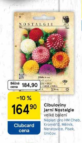 Cibuloviny jarní Nostalgie, velké balení