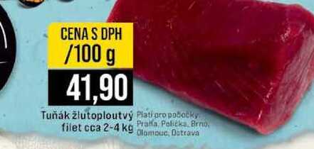 Tuňák žlutoploutvý Plati pro pobočky filet cca 2-4 kg 100g