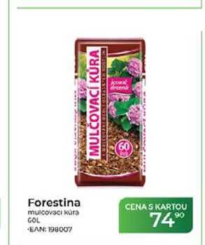 Forestina mulčovací kůra
