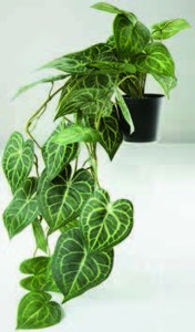 Umělá rostlina KNOPPSVANE