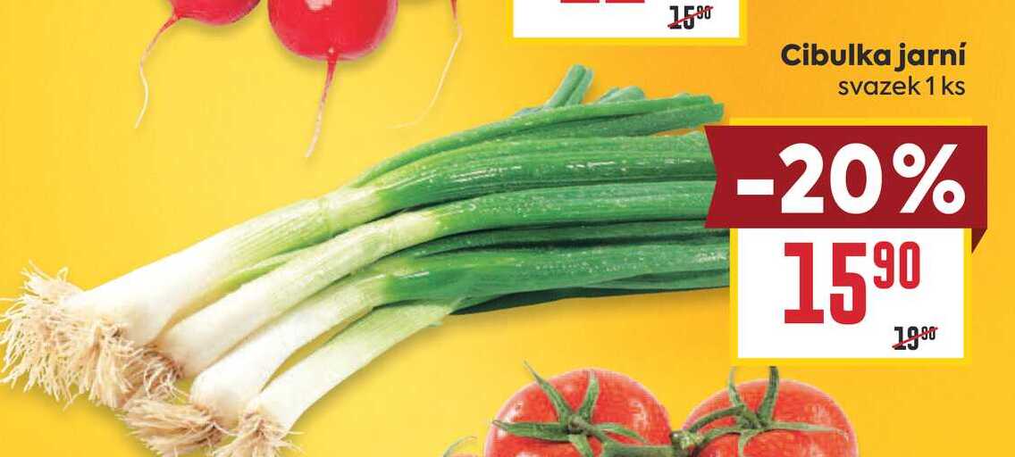 Cibulka jarní svazek 1 ks