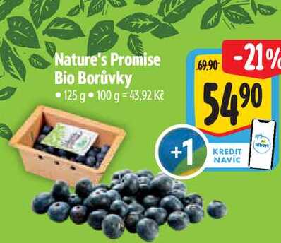 Nature's Promise Bio Borůvky, 125 g