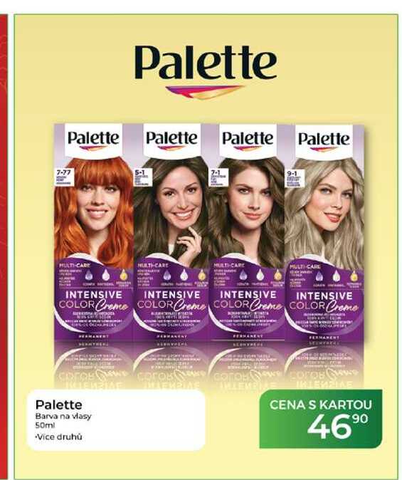 Palette Barva na vlasy 50ml  