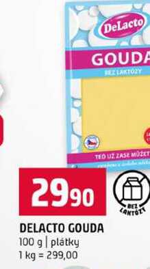 DELACTO GOUDA 100 g plátky 