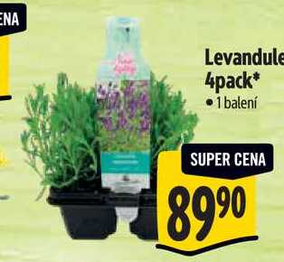 Levandule 4pack