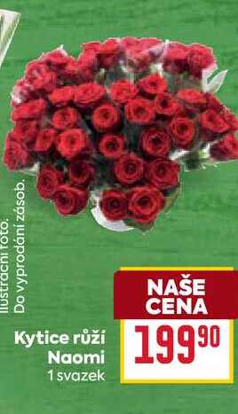 Kytice růží Naomi 1 svazek   
