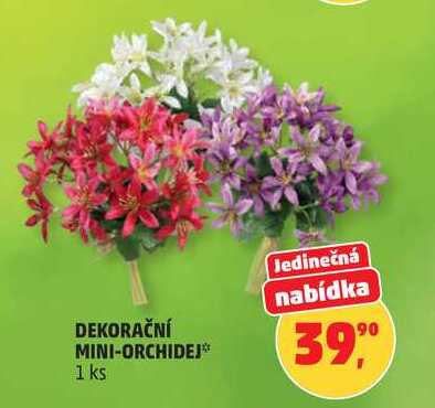 DEKORAČNÍ MINI-ORCHIDEJ, 1 ks 