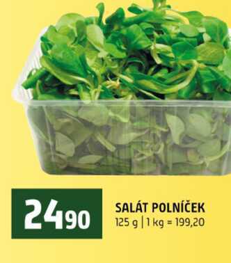 SALÁT POLNÍČEK 125 g 