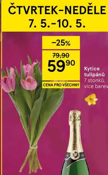 Kytice tulipánů, 7 stonků