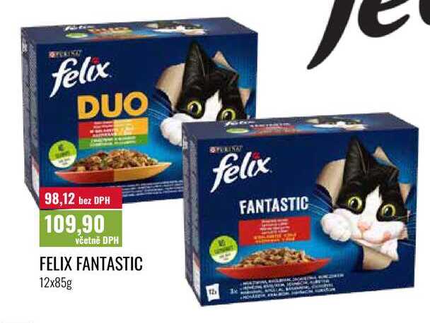 FELIX FANTASTIC 12x85g 