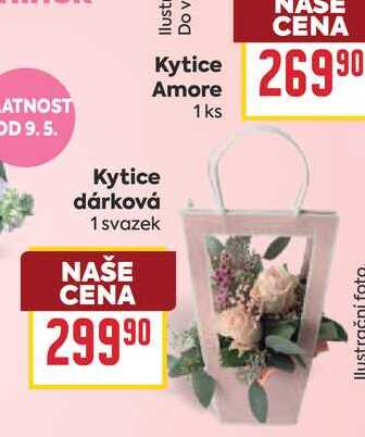 Kytice dárková 1 svazek 