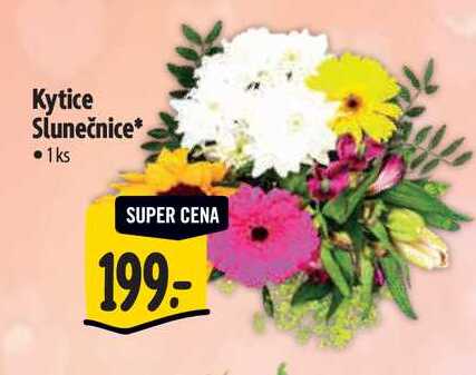 Kytice Slunečnice