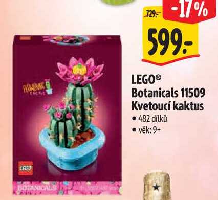 LEGO Botanicals 11509 Kvetoucí kaktus