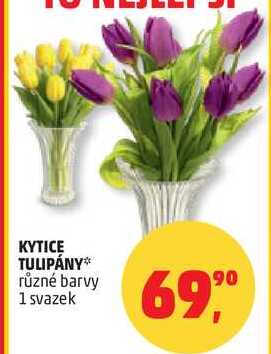 KYTICE TULIPÁNY různé barvy, 1 svazek 