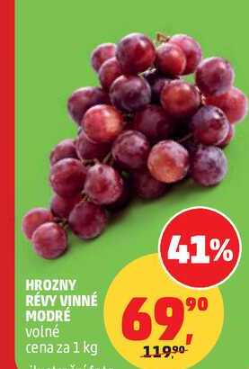 HROZNY RÉVY VINNÉ MODRÉ volné, 1 kg