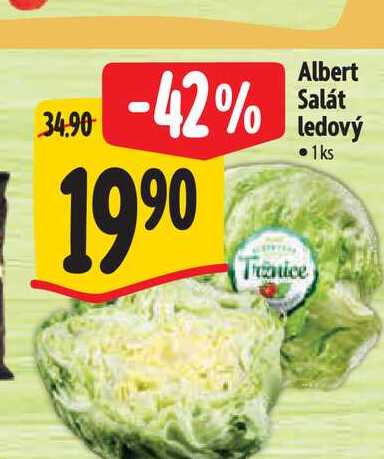   Albert Salát ledový  1ks 