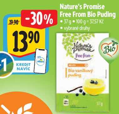 Nature's Promise Free From Bio Puding, 37 g