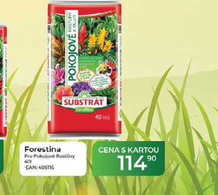 Forestina Pro Pokojove Rostliny 60 1  