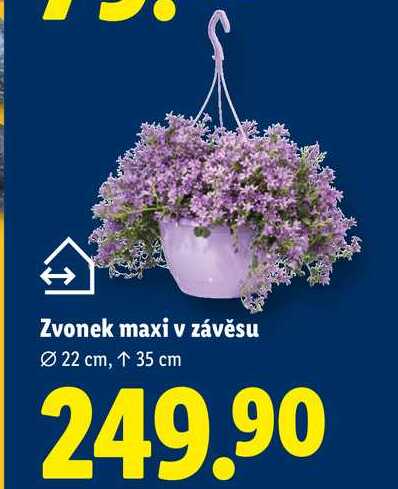 Zvonek maxi v závěsu 