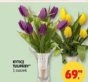 KYTICE TULIPÁNY, 1 svazek  
