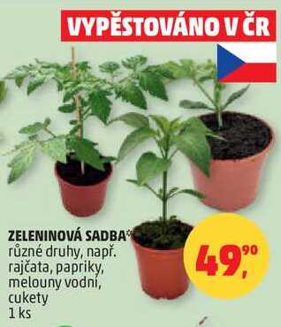 ZELENINOVÁ SADBA různé druhy, např. rajčata, papriky, melouny vodní, cukety, 1 ks 