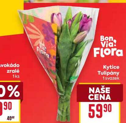 Kytice Tulipány 1 svazek 