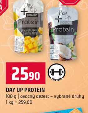 DAY UP PROTEIN 100 g ovocný dezert vybrané druhy 