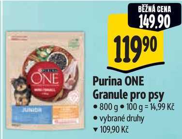 Purina ONE Granule pro psy, 800 g