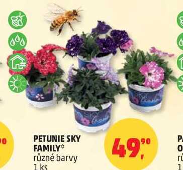 PETUNIE SKY FAMILY