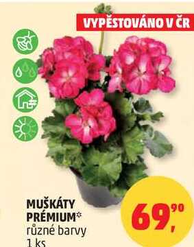 MUŠKÁTY PRÉMIUM