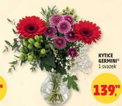 KYTICE GERMINI