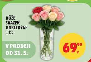 RŮŽE SVAZEK HARLEKỲN, 1 ks