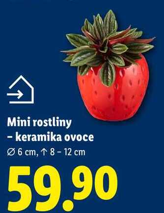 Mini rostliny - keramika ovoce