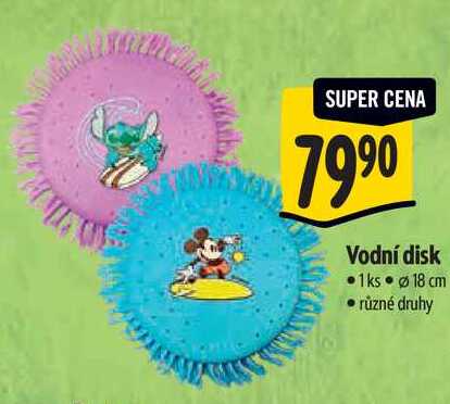 Vodní disk