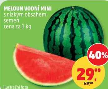 MELOUN VODNÍ MINI s nízkým obsahem semen, 1 kg