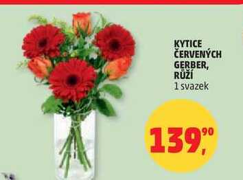 KYTICE ČERVENÝCH GERBER, RŮŽÍ, 1 svazek