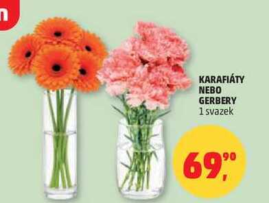 KARAFIÁTY NEBO GERBERY, 1 svazek