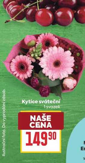 Kytice sváteční 1 svazek 