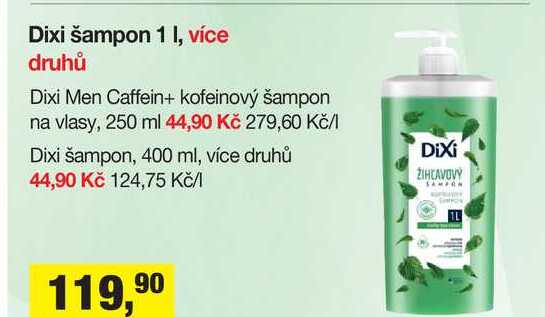 Dixi šampon 1 I