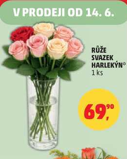 RŮŽE SVAZEK HARLEKỲN, 1 ks