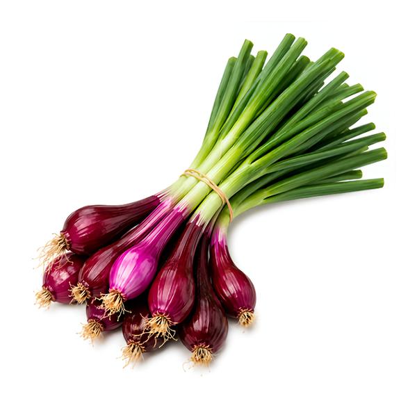 Cibulka lahůdková červená, svazek